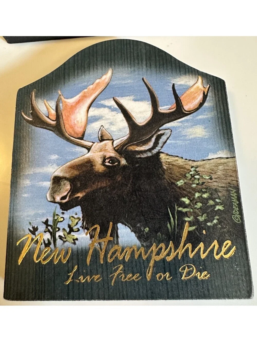 Set Of 5 Vintage New Hampshire Refrigerator Magnets Wolf Cover Bridge Elk Bear